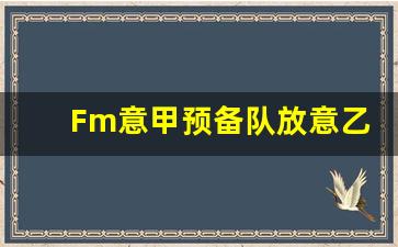 Fm意甲预备队放意乙-fm 意甲