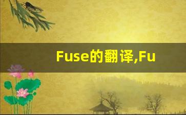 Fuse的翻译,Fuse怎么读,Fuse造句及用法-第1张图片-我的生活随想