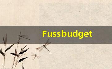 Fussbudget的翻译,Fussbudget怎么读,Fussbudget造句及用法-第1张图片-我的生活随想