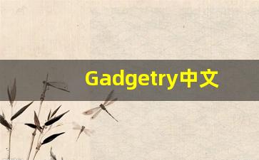 Gadgetry中文意思,Gadgetry中文翻译,Gadgetry用法及例句,Gadgetry语法-第1张图片-我的生活随想