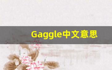 Gaggle中文意思,Gaggle中文翻译,Gaggle用法及例句,Gaggle语法-第1张图片-我的生活随想