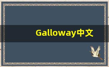 Galloway中文意思,Galloway中文翻译,Galloway用法及例句,Galloway语法-第1张图片-我的生活随想