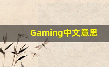 Gaming中文意思,Gaming中文翻译,Gaming用法及例句,Gaming语法-第1张图片-我的生活随想
