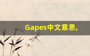 Gapes中文意思,Gapes中文翻译,Gapes用法及例句,Gapes语法-第1张图片-我的生活随想