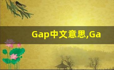 Gap中文意思,Gap中文翻译,Gap用法及例句,Gap语法-第1张图片-我的生活随想