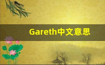 Gareth中文意思,Gareth中文翻译,Gareth用法及例句,Gareth语法-第1张图片-我的生活随想