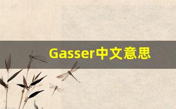 Gasser中文意思,Gasser中文翻译,Gasser用法及例句,Gasser语法-第1张图片-我的生活随想