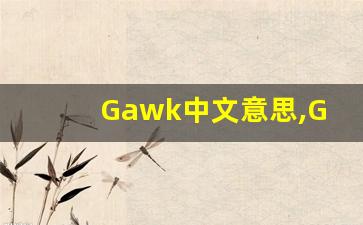 Gawk中文意思,Gawk中文翻译,Gawk用法及例句,Gawk语法-第1张图片-我的生活随想