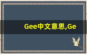 Gee中文意思,Gee中文翻译,Gee用法及例句,Gee语法-第1张图片-我的生活随想