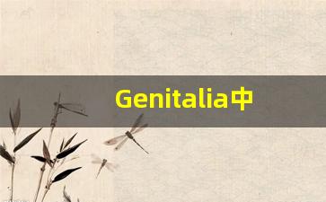 Genitalia中文意思,Genitalia中文翻译,Genitalia用法及例句,Genitalia语法-第1张图片-我的生活随想