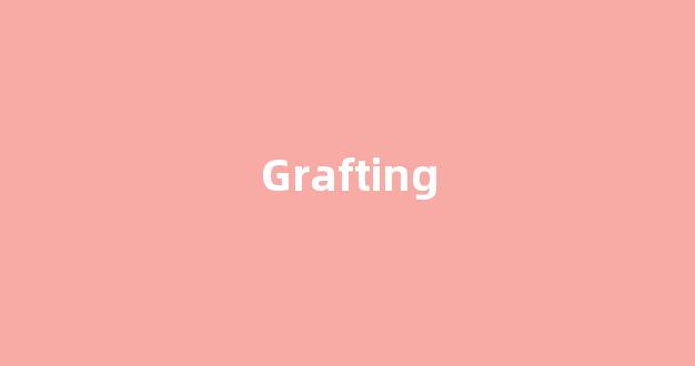 Grafting中文翻译,Grafting是什么意思,Grafting发音、用法及例句(grief的中文意思)-第1张图片-我的生活随想
