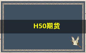 H50期货(h50期货的三个基本原则)_https://www.wanyuyiyao.com_深交所_第1张