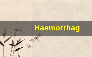Haemorrhage中文释义,Haemorrhage中文翻译,Haemorrhage造句,Haemorrhage的发音-第1张图片-我的生活随想