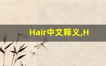 Hair中文释义,Hair中文翻译,Hair造句,Hair的发音-第1张图片-我的生活随想