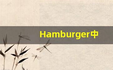 Hamburger中文释义,Hamburger中文翻译,Hamburger造句,Hamburger的发音-第1张图片-我的生活随想