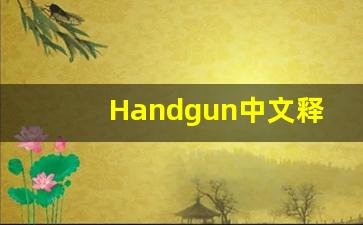 Handgun中文释义,Handgun中文翻译,Handgun造句,Handgun的发音-第1张图片-我的生活随想
