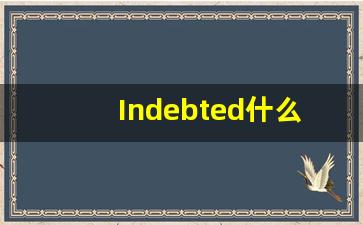 Indebted什么意思,Indebted用法,Indebted的发音,Indebted翻译-第1张图片-我的生活随想