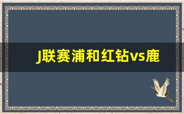 J联赛浦和红钻vs鹿岛鹿角-浦和红钻2020阵容