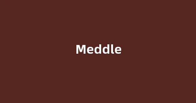Meddle中文翻译,Meddle是什么意思,Meddle发音、用法及例句-第1张图片-我的生活随想