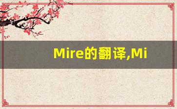 Mire的翻译,Mire怎么读,Mire造句及用法-第1张图片-我的生活随想