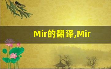 Mir的翻译,Mir怎么读,Mir造句及用法-第1张图片-我的生活随想