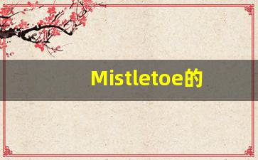 Mistletoe的翻译,Mistletoe怎么读,Mistletoe造句及用法-第1张图片-我的生活随想