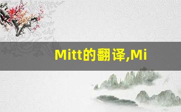 Mitt的翻译,Mitt怎么读,Mitt造句及用法-第1张图片-我的生活随想