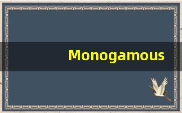 Monogamous的翻译,Monogamous怎么读,Monogamous造句及用法-第1张图片-我的生活随想
