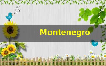 Montenegro的翻译,Montenegro怎么读,Montenegro造句及用法-第1张图片-我的生活随想