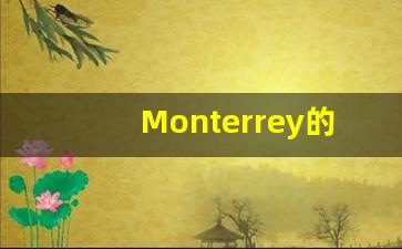 Monterrey的翻译,Monterrey怎么读,Monterrey造句及用法-第1张图片-我的生活随想