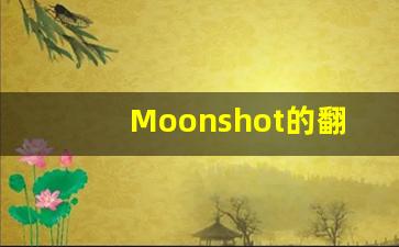 Moonshot的翻译,Moonshot怎么读,Moonshot造句及用法-第1张图片-我的生活随想