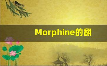 Morphine的翻译,Morphine怎么读,Morphine造句及用法-第1张图片-我的生活随想