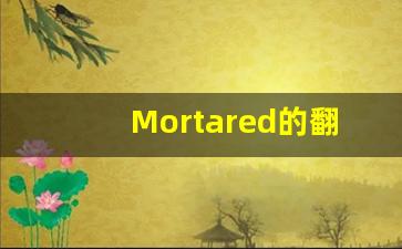 Mortared的翻译,Mortared怎么读,Mortared造句及用法-第1张图片-我的生活随想