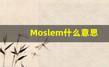 Moslem什么意思,Moslem中文翻译,Moslem用法及例句,Moslem怎么读-第1张图片-我的生活随想