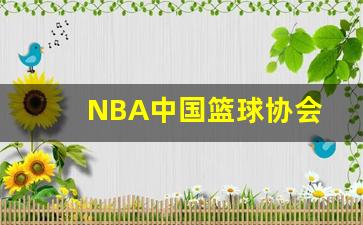NBA中国篮球协会-中国nba球队