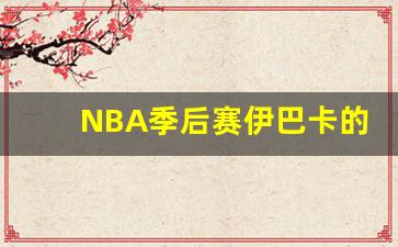 伊巴卡新秀赛季-NBA季后赛伊巴卡的鸟
