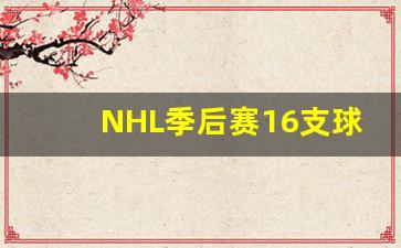 nhl新球队-NHL季后赛16支球队产生方案
