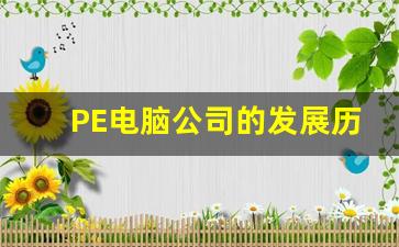 PE电脑公司的发展历程