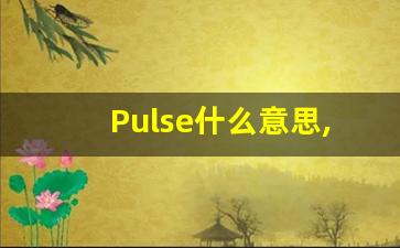 Pulse什么意思,Pulse用法,Pulse的发音,Pulse翻译-第1张图片-我的生活随想