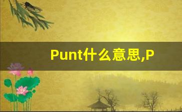 Punt什么意思,Punt用法,Punt的发音,Punt翻译-第1张图片-我的生活随想