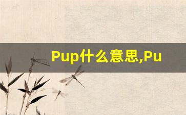 Pup什么意思,Pup用法,Pup的发音,Pup翻译-第1张图片-我的生活随想