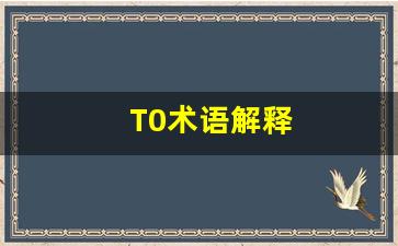 T0术语解释-第1张图片-我的生活随想