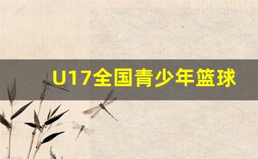 u17全国青少年篮球联赛冠军-U17全国青少年篮球联赛