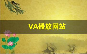 日本欧美精品：VA播放网站