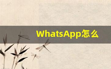 WhatsApp怎么才用用