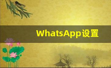 WhatsApp设置为英文