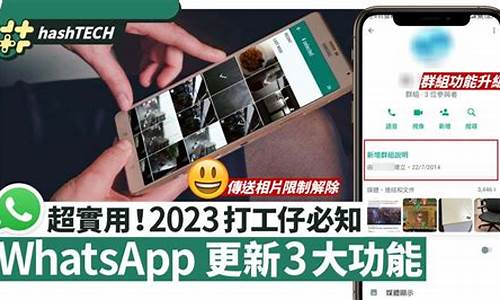 WhatsApp軟件ppt介紹(whatsapp plusapk)