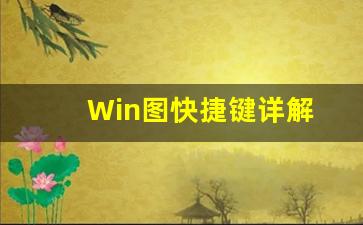 Win图快捷键详解(WIN十快捷键)插图