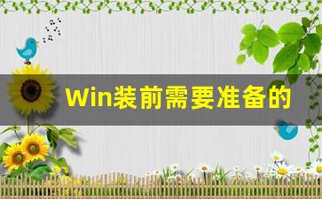 Win装前需要准备的工作(要安装windows)插图