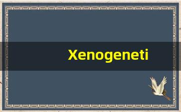 Xenogenetic什么意思,Xenogenetic用法,Xenogenetic造句,Xenogenetic的发音-第1张图片-我的生活随想